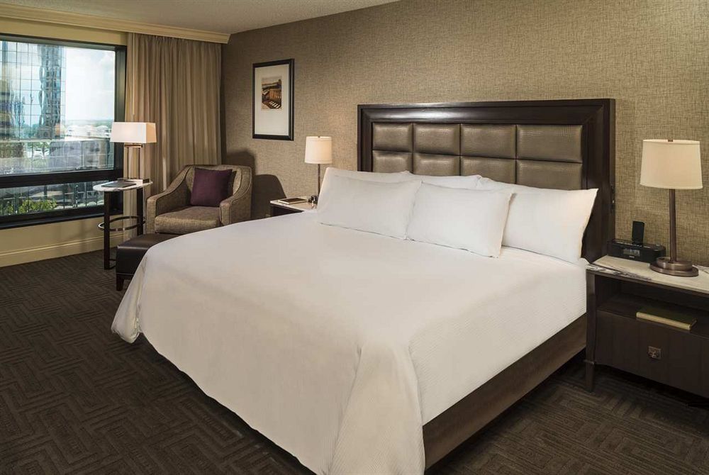 Tampa Hilton Bed